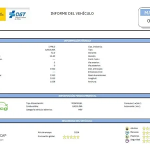 Ejemplo de la cabecera de un informe de DGT